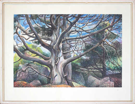 Ган Татьяна Константиновна. Старое дерево 